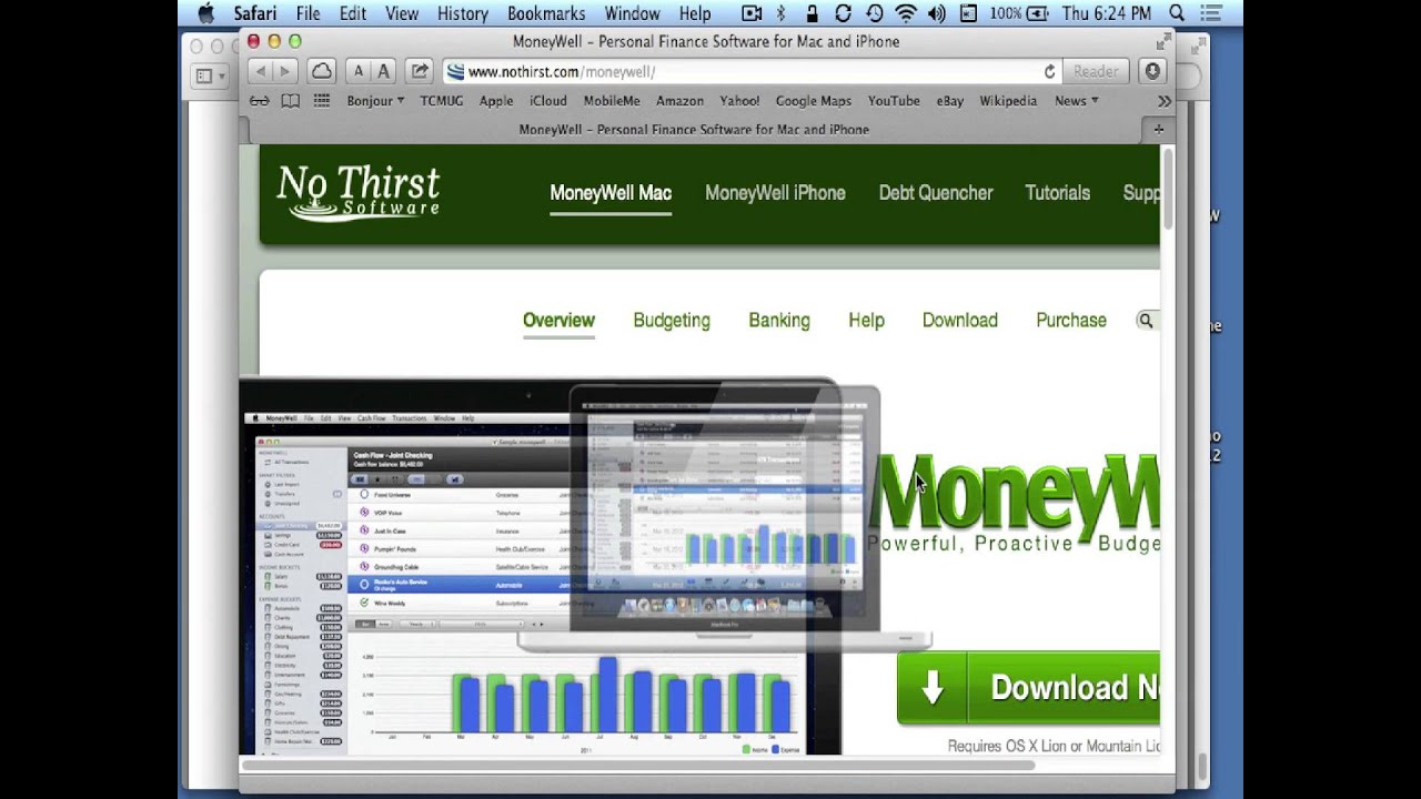 moneywell software